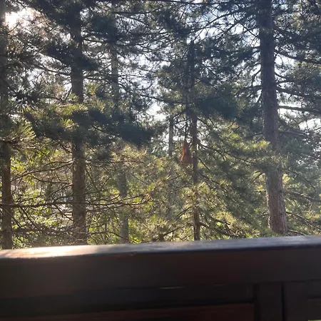 Lägenhet Marjanovic Tara, Kaludjerske Bare