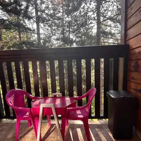 Marjanovic Tara, Lägenhet *